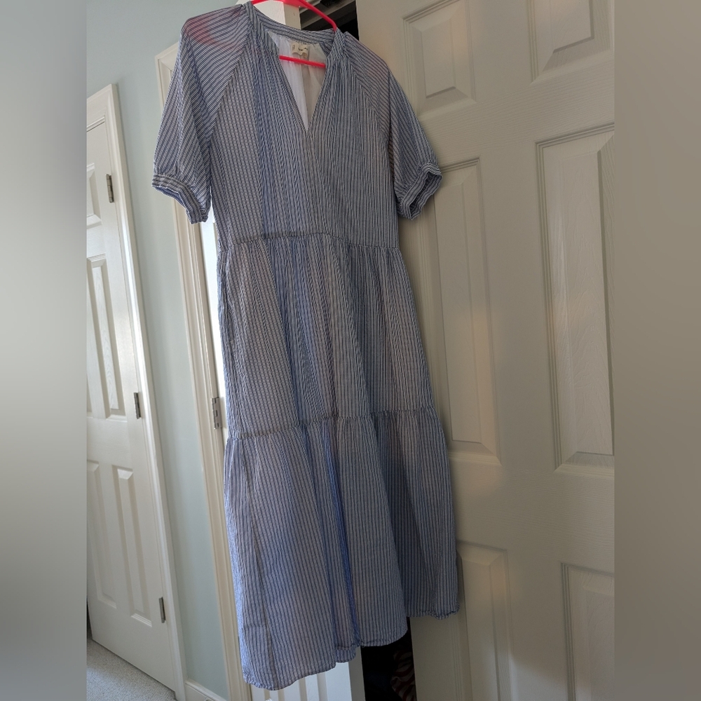 Blue Striped Everlane Maxi Dress